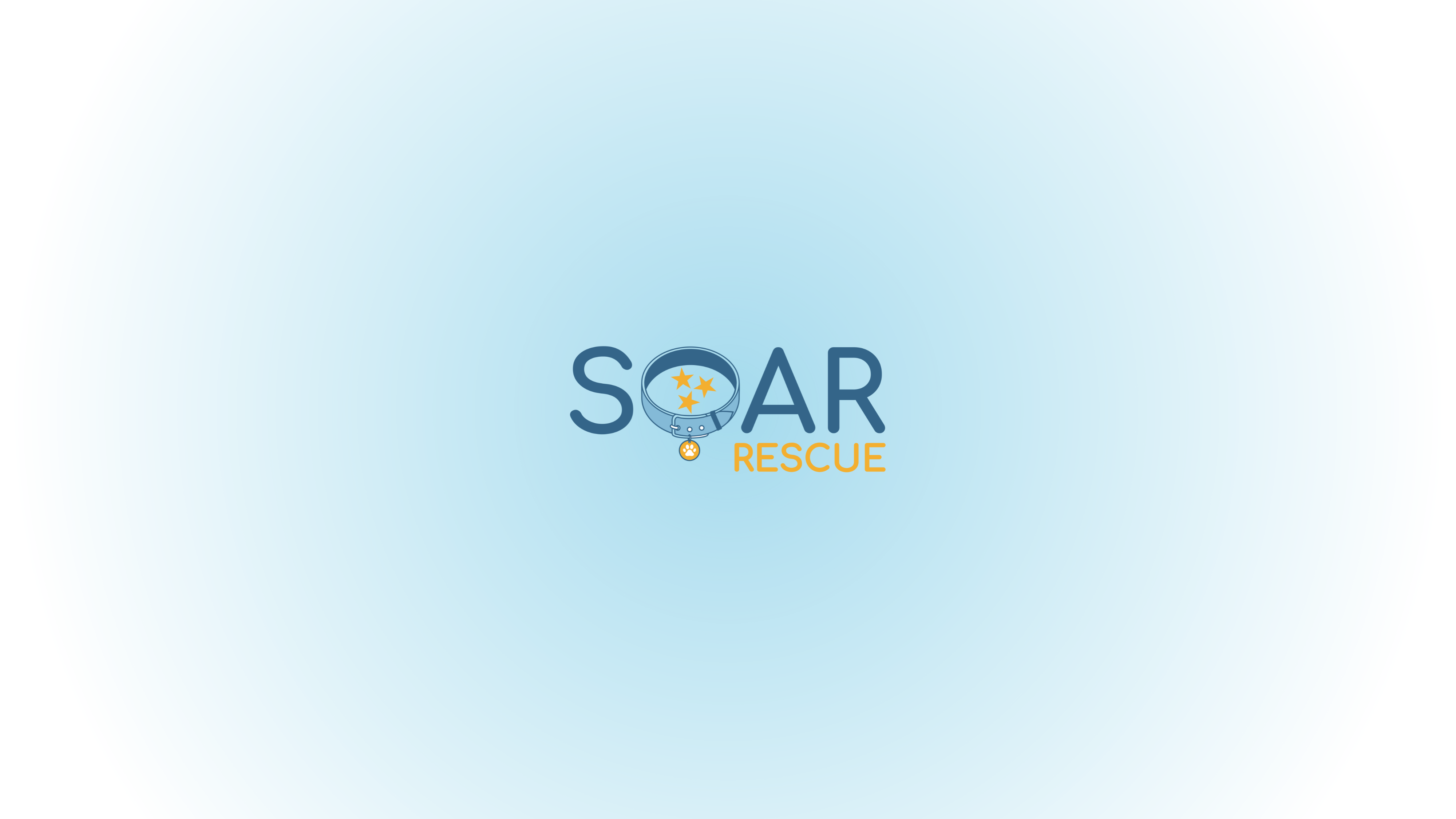 SOAR Logo