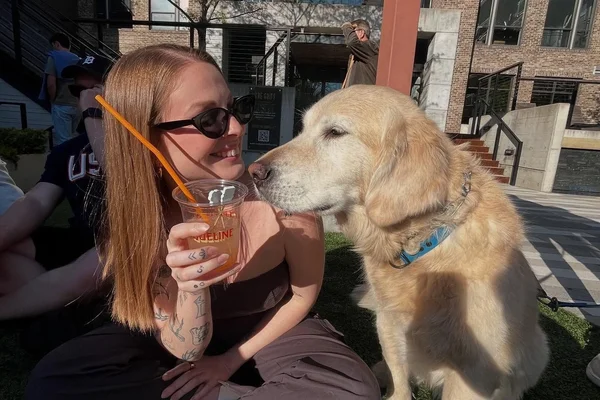Golden retriever with person