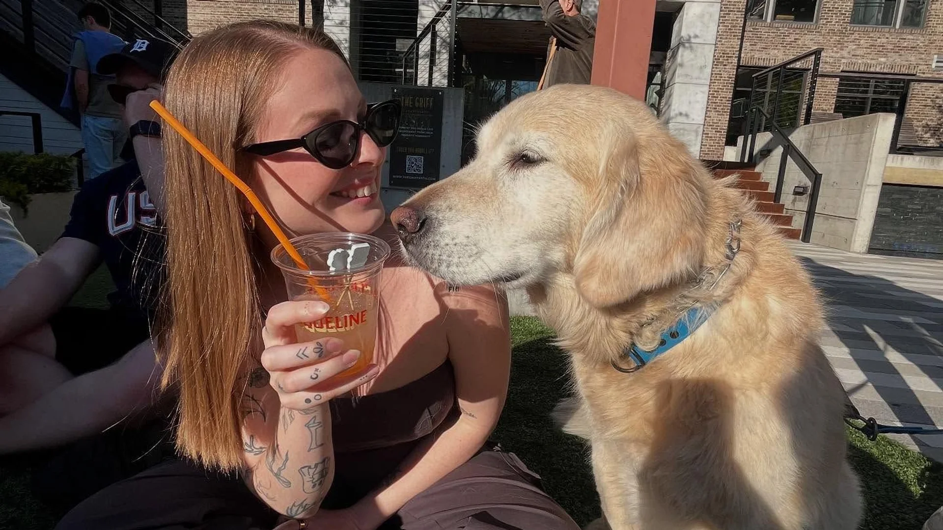 Golden retriever with person