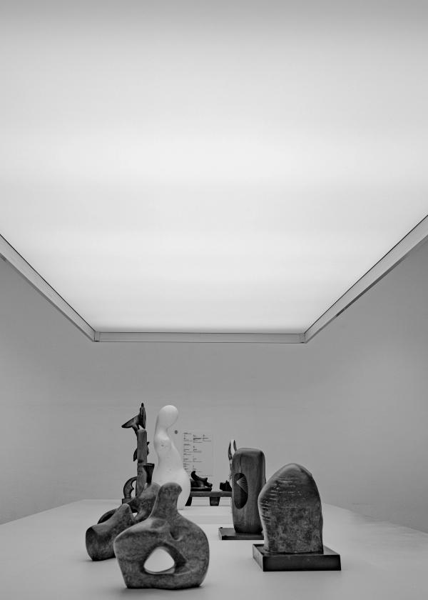Fine art sculptures under a modern box light in a museum