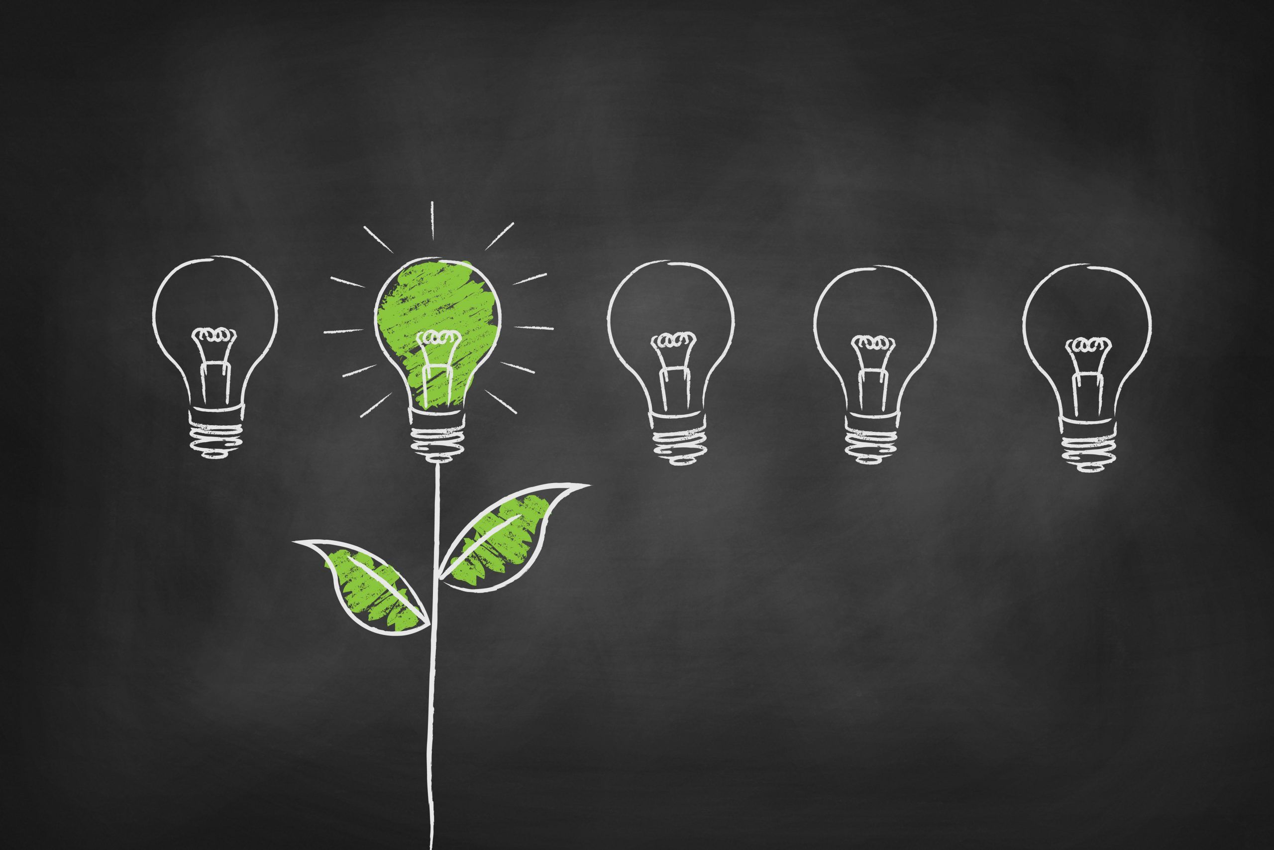 Sustainability Projects for Schools: Tips for a Sustainable School