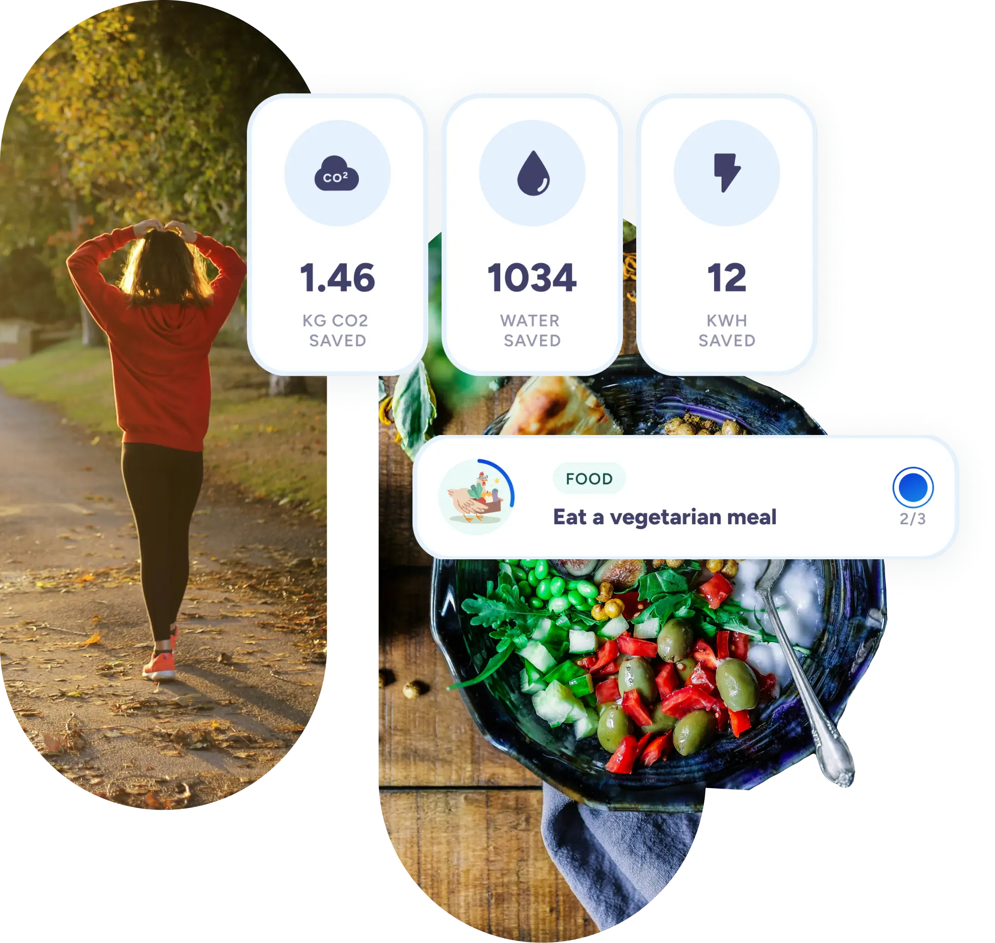 Theory of Change and Sustainability