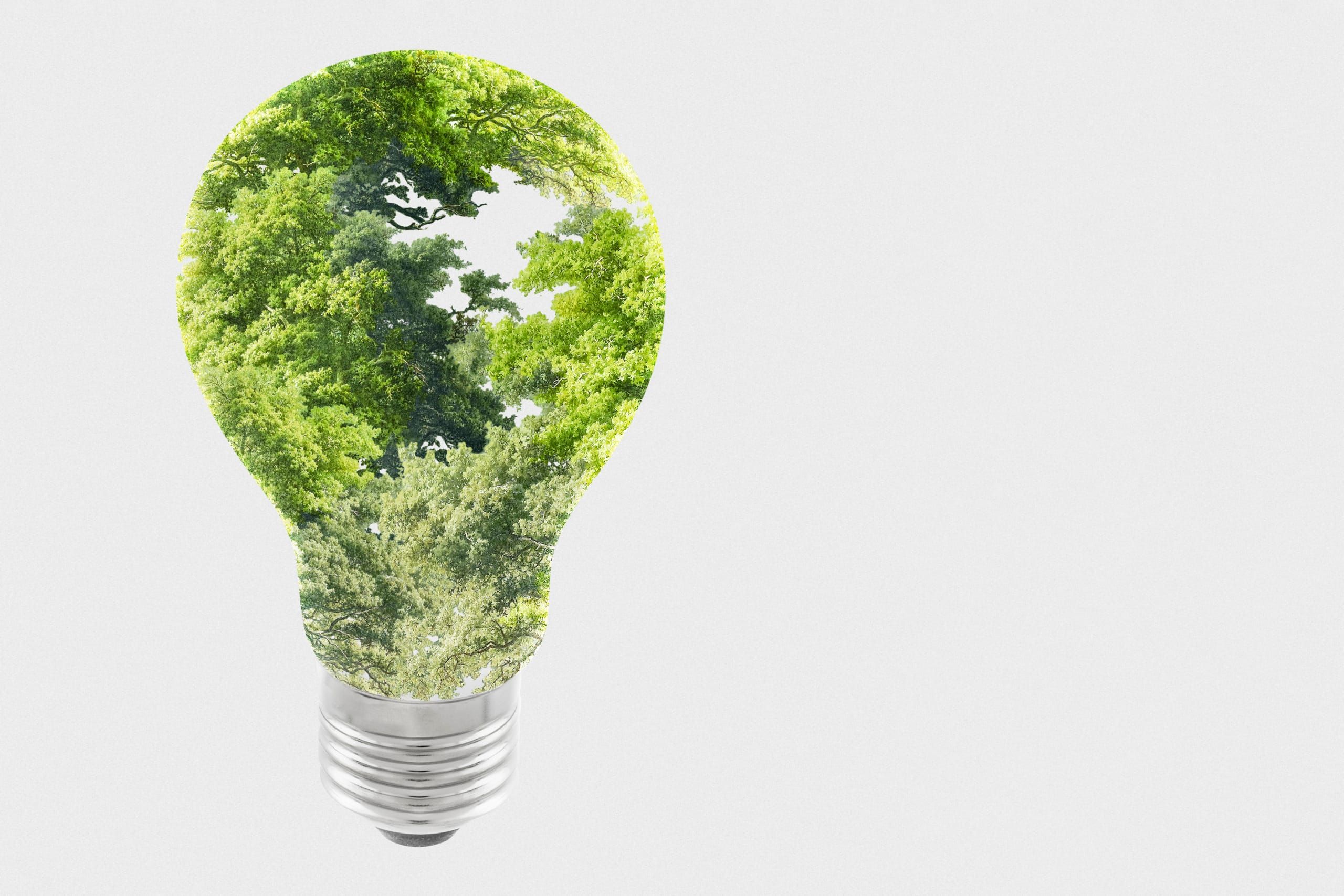 Green initiatives for offices: 10 easy-to-implement ideas