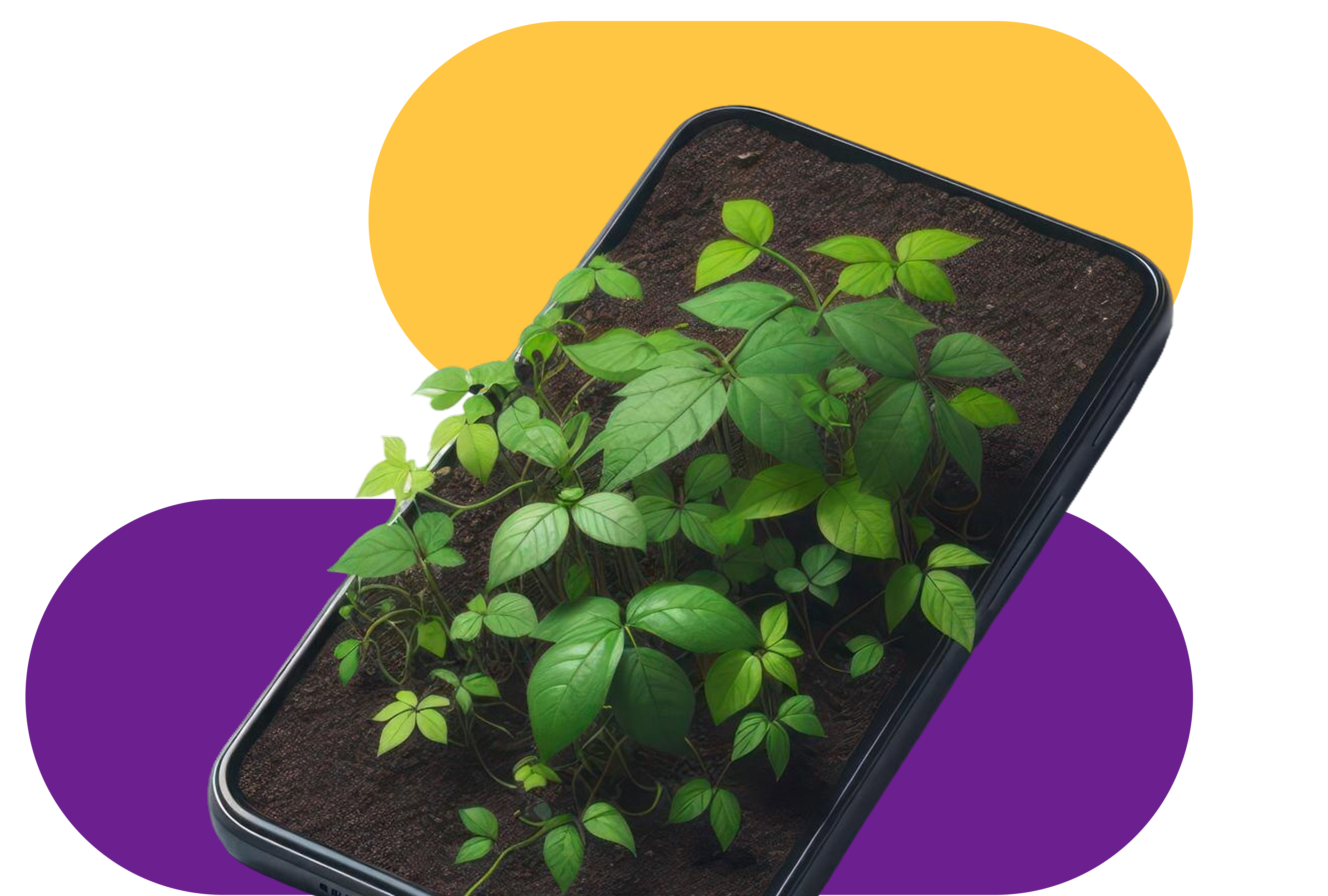 Microlearning and sustainability: how to effectively develop Green Skills in the workplace