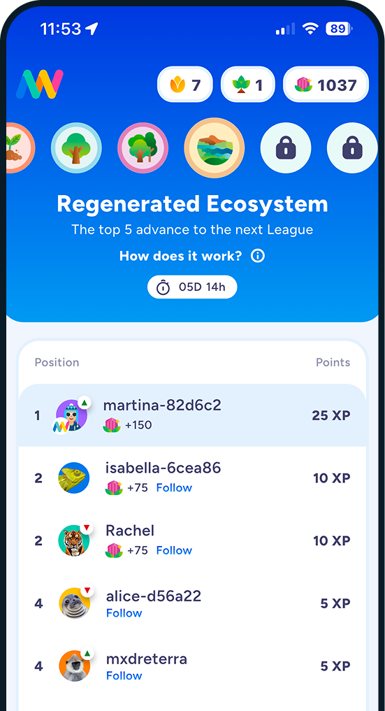 Leaderboards and Leagues