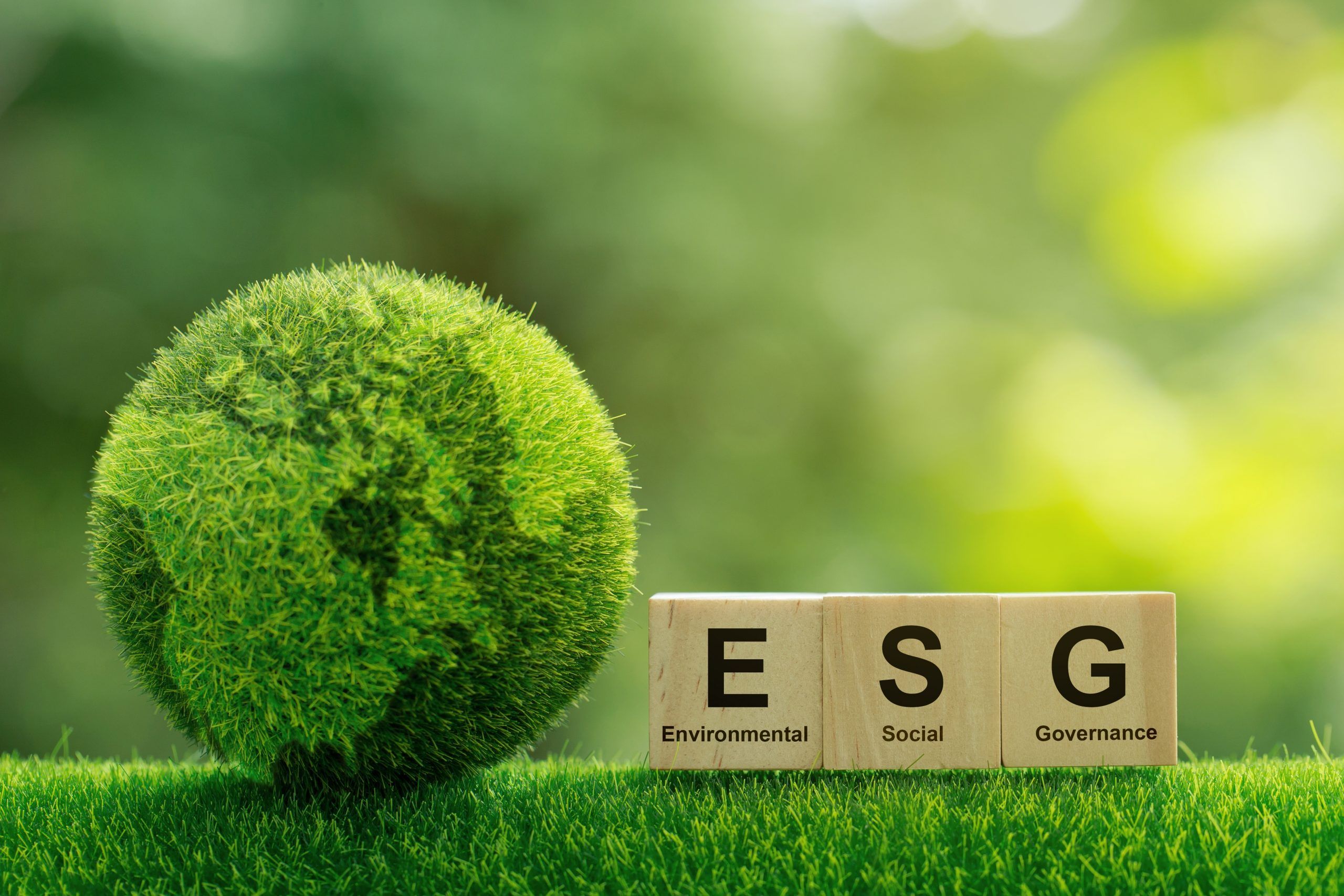 What is ESG Sustainability and the Benefits for a Company