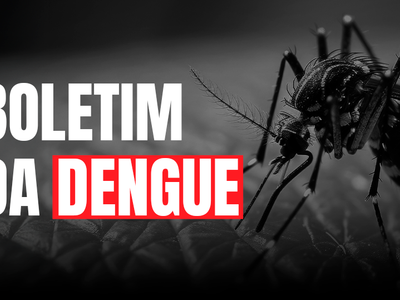 Dengue SC: Saúde registra mais de 62 mil focos do mosquito Aedes aegypti até início de dezembro