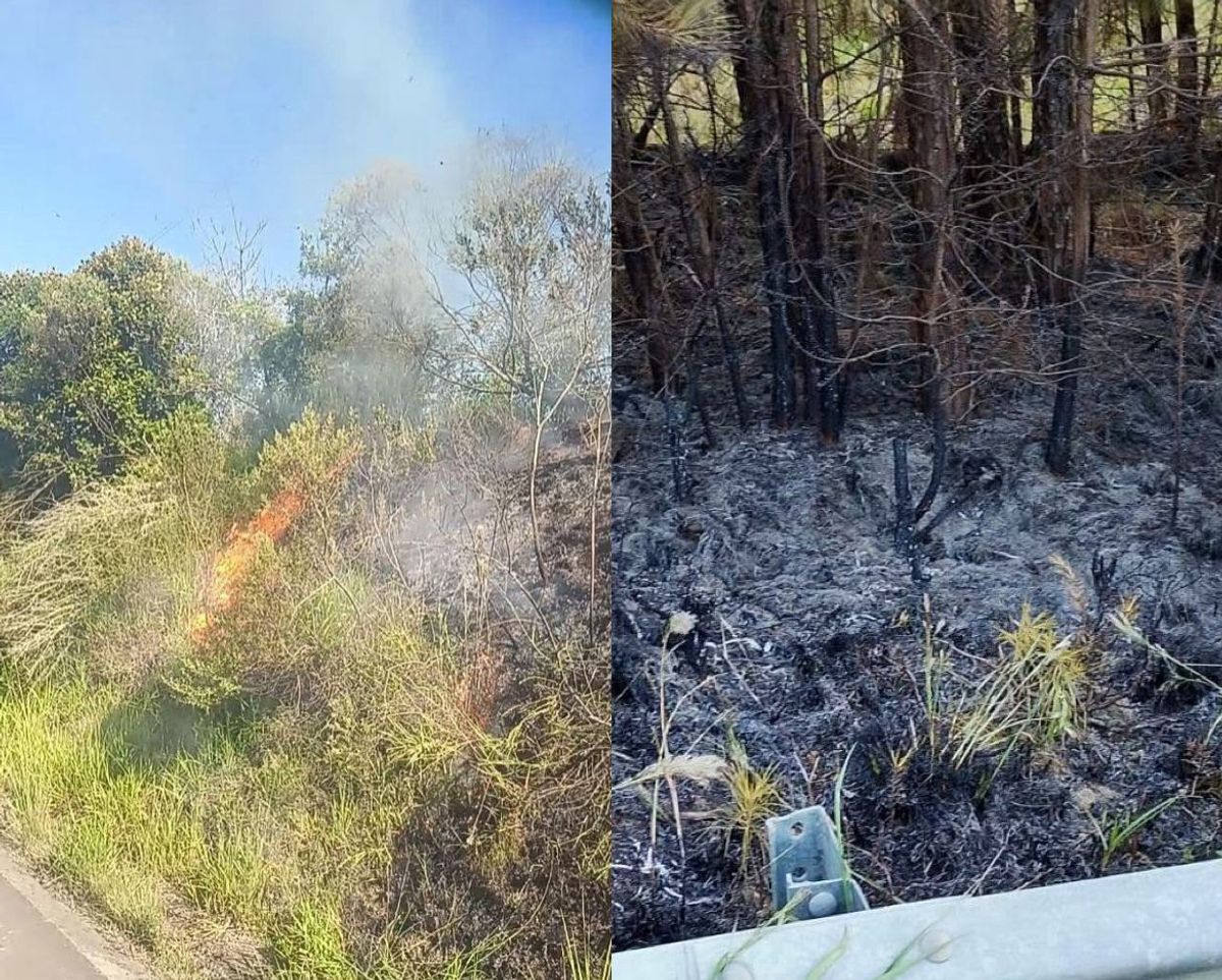 Incêndios às margens da SC-477 preocupam autoridades em Itaiópolis