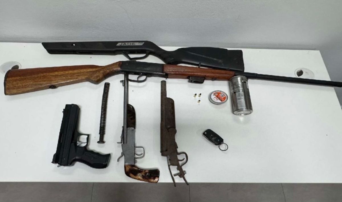 PM apreende armas e pássaro silvestre após perseguição na SC-350 em Rio do Sul