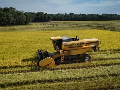 Frente Parlamentar do Cooperativismo debate alternativas para a crise na rizicultura