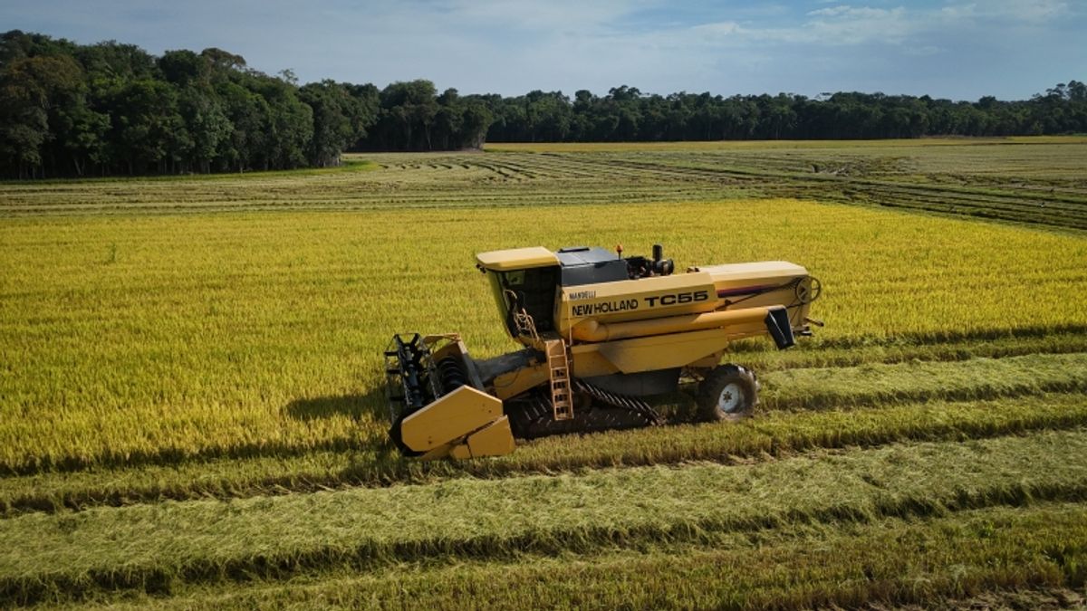 Frente Parlamentar do Cooperativismo debate alternativas para a crise na rizicultura
