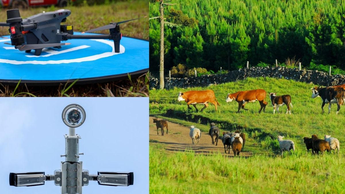 Programa Olho Bom moderniza o controle de trânsito de animais e fortalece a defesa agropecuária com tecnologia e inovação em SC