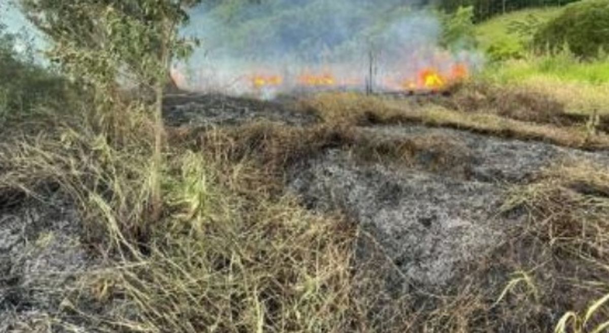 Incêndio causado por queima de mato sai do controle e mobiliza bombeiros no Médio Vale