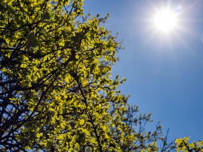 Outono começa com calor acima da média e risco de temporais em Santa Catarina