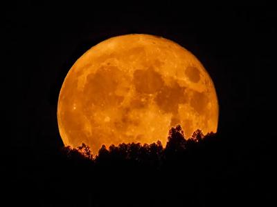 Segunda superlua do ano ilumina o céu nesta quarta-feira (05)