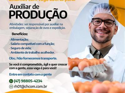 BrasOvos abre vaga para Auxiliar de Produção