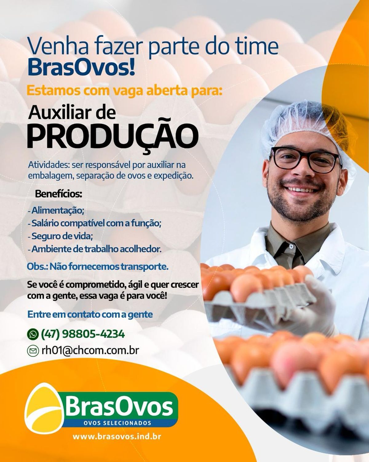 BrasOvos abre vaga para Auxiliar de Produção