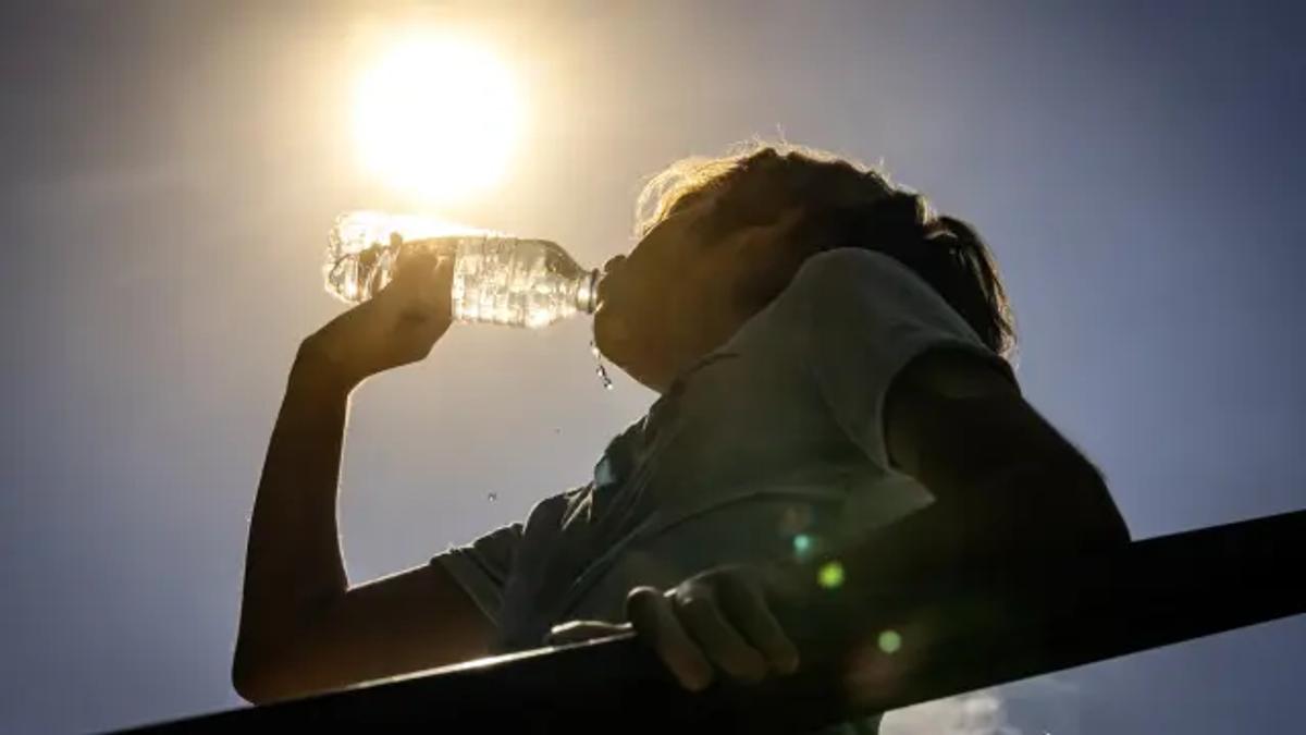 Calor de até 38°C marca primeira semana de março em SC
