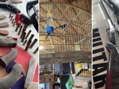 Polícia apreende aves silvestres, armas e munições em Rodeio