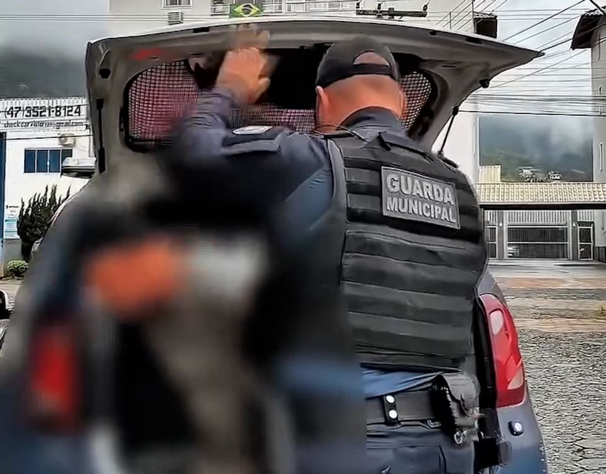 Guarda Municipal de Rio do Sul cumpre mandado de prisão em decorrência dos crimes de Roubo Qualificado e Extorsão Mediante Sequestro