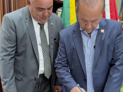 Nova Lei do Fumo permite classificação das folhas direto na propriedade