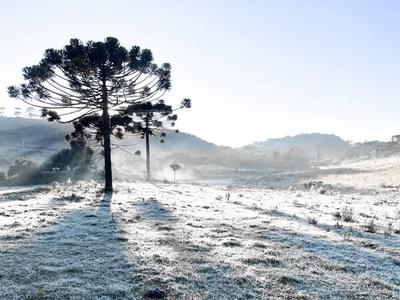 Frio e vento fazem sensação térmica despencar para -10°C em Urupema