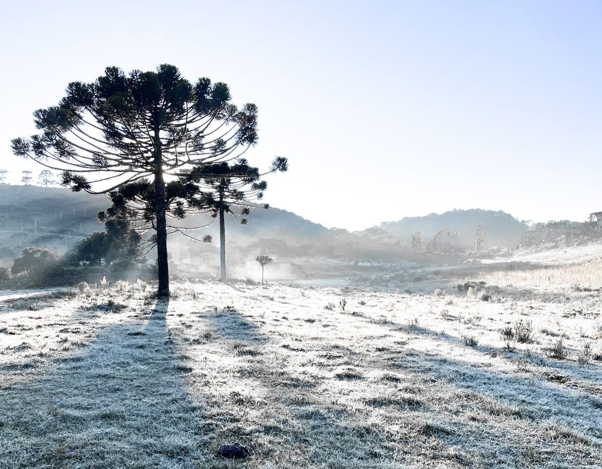 Frio e vento fazem sensação térmica despencar para -10°C em Urupema