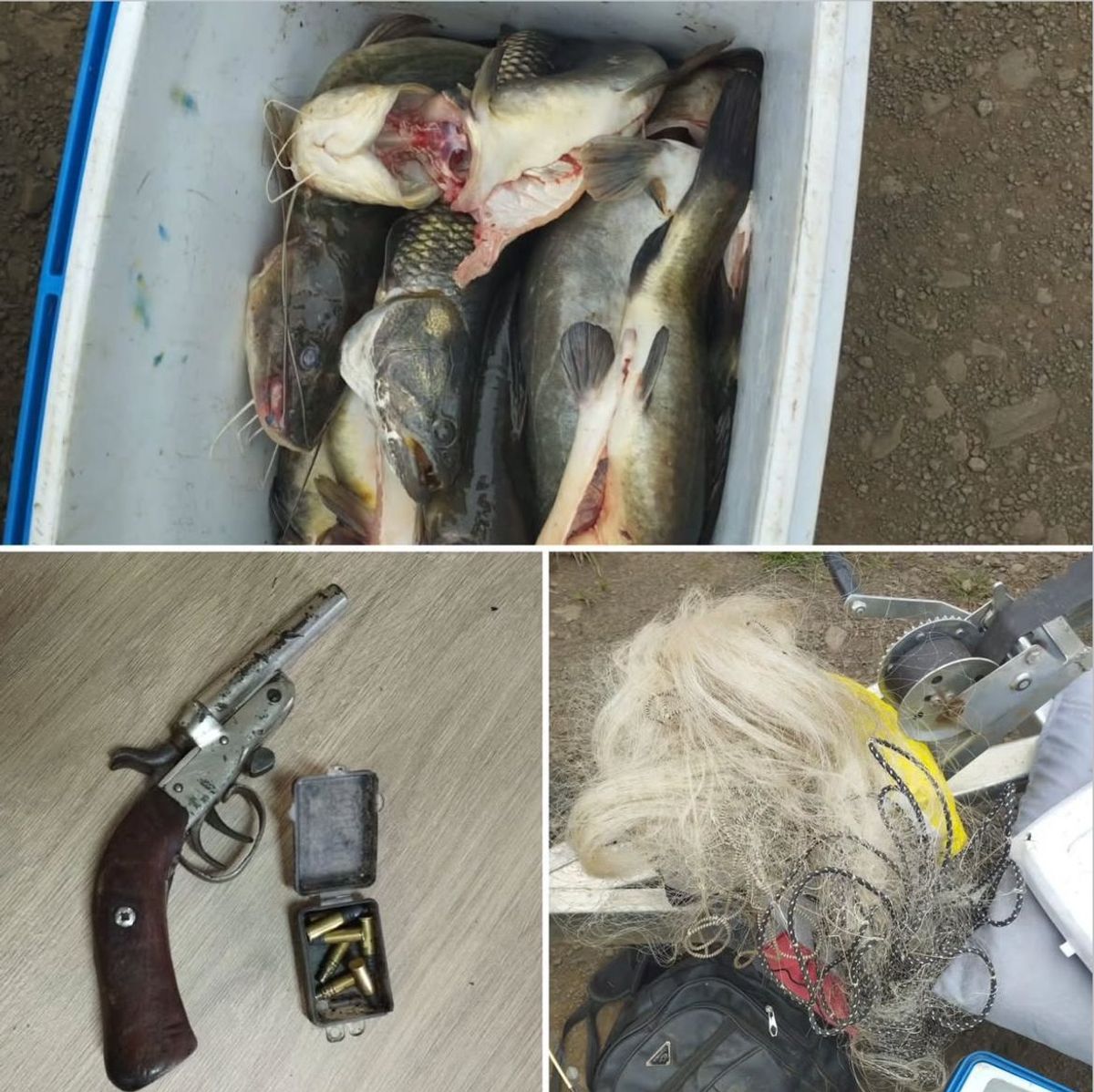 Operação flagra pesca ilegal na Barragem da Bonet, em Timbó Grande