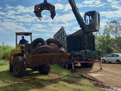 Dengue SC: Campanha de recolhimento de pneus fortalece combate ao Aedes aegypti no Estado
