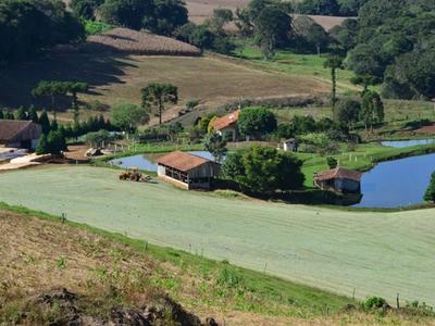Governo de SC envia para Alesc programa para impulsionar investimentos em até R$ 26 bilhões e gerar 40 mil vagas de emprego no campo