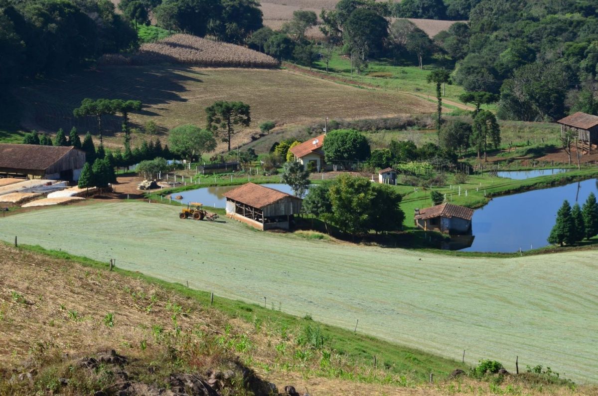 Governo de SC envia para Alesc programa para impulsionar investimentos em até R$ 26 bilhões e gerar 40 mil vagas de emprego no campo