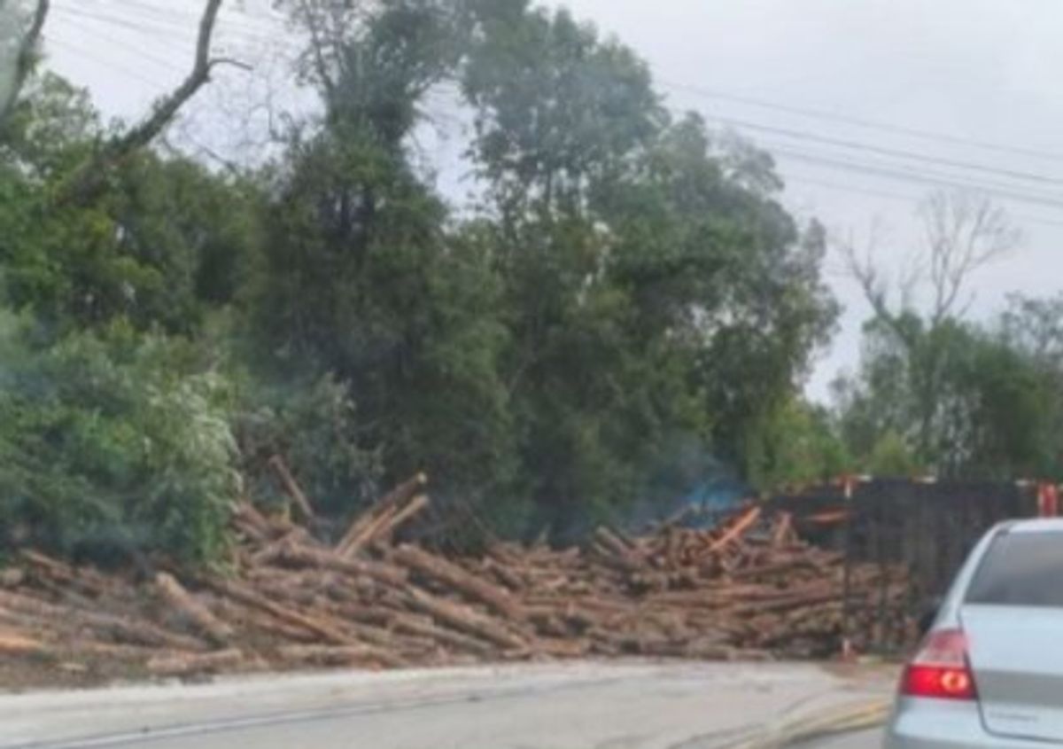 Caminhão carregado com toras capota na SC-477 em Major Vieira
