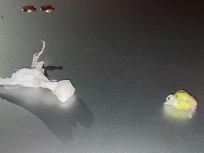 Homens são encaminhados a delegacia por posse de drogas em Rio do Sul