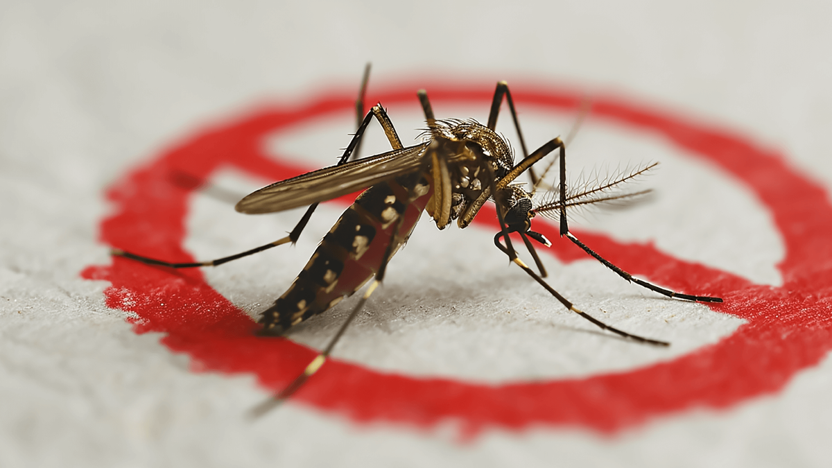 Santa Terezinha registra focos de dengue e pede ação imediata da população