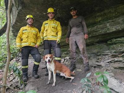 Cão é resgatado após cair em ribanceira de difícil acesso em Vidal Ramos