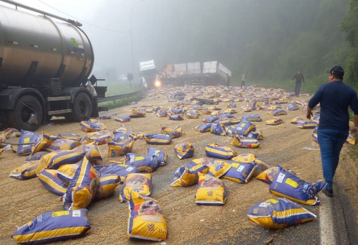 Carreta tomba e interdita trecho da BR-116 em Monte Castelo