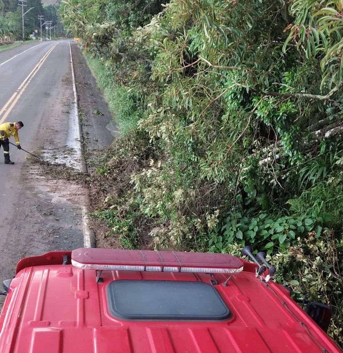 Temporal derruba árvores e mobiliza Bombeiros na SC-114 entre Pouso Redondo e Taió
