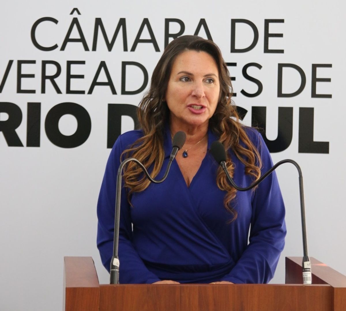 Processo de cassação contra a vereadora Sueli de Oliveira é aberto pela Câmara de Rio do Sul