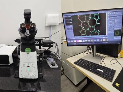Investimento de R$ 5 milhões amplia pesquisas sobre câncer e transtornos psiquiátricos em SC