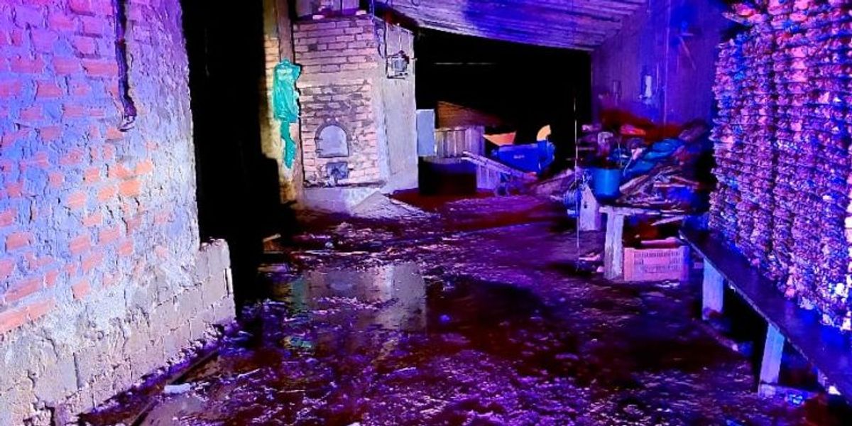 Incêndio destrói rancho e estufa em Apiúna