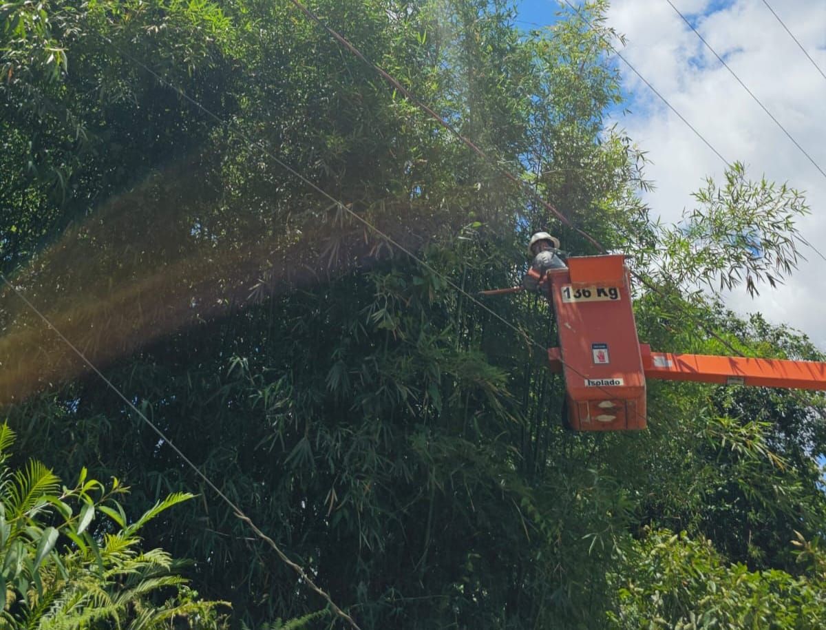 Celesc encerra operação especial pós-ciclone com sucesso e destaca atuação integrada entre regionais