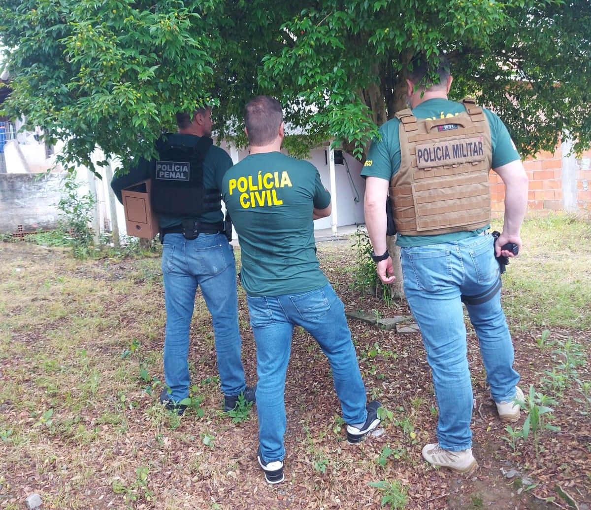 GAECO do MPSC realiza busca e apreensão em Pouso Redondo por exploração irregular de madeira em Rondônia