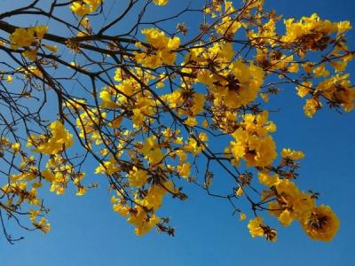 Intensos temporais marcaram a transição para a primavera em SC