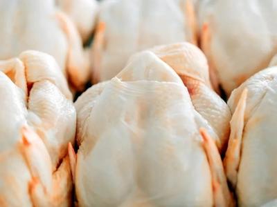 Gripe aviária não deve impactar preço da carne de frango, diz ministro