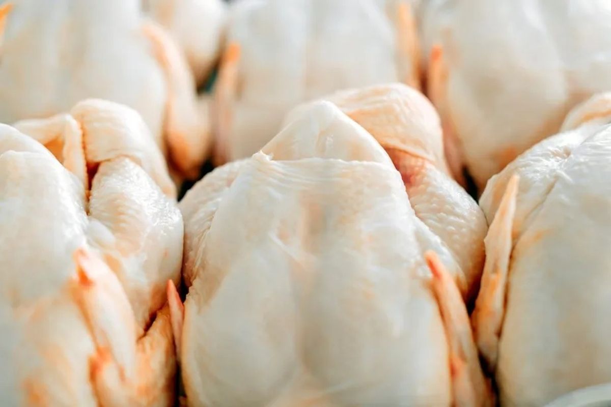 Gripe aviária não deve impactar preço da carne de frango, diz ministro
