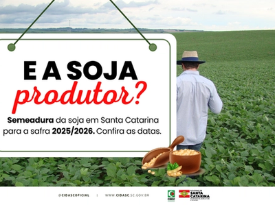 Cidasc divulga calendário de semeadura da soja em Santa Catarina para a safra 2025/2026