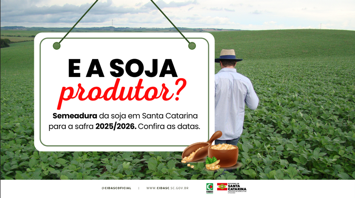 Cidasc divulga calendário de semeadura da soja em Santa Catarina para a safra 2025/2026