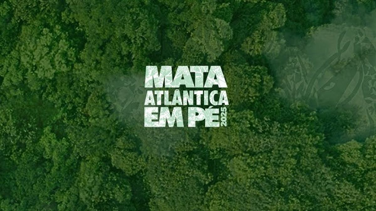 Operação "Mata Atlântica em Pé 2025" identifica áreas de desmatamento irregular em Taió e em mais 6 municípios do Alto Vale