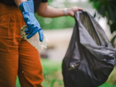 Dengue SC: Saúde registra mais de 5 mil focos do mosquito Aedes aegypti