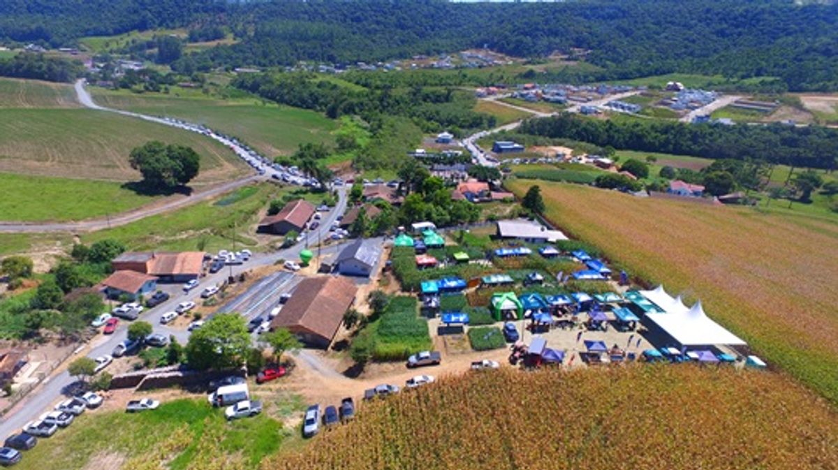 Dia de Campo reúne mais de mil produtores em Ituporanga